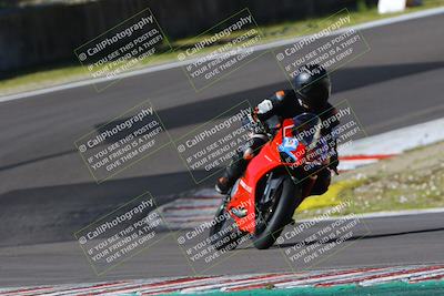 media/Mar-17-2024-Fastrack Riders (Sun) [[c7d6f8c14c]]/Level 2/Turn 6/